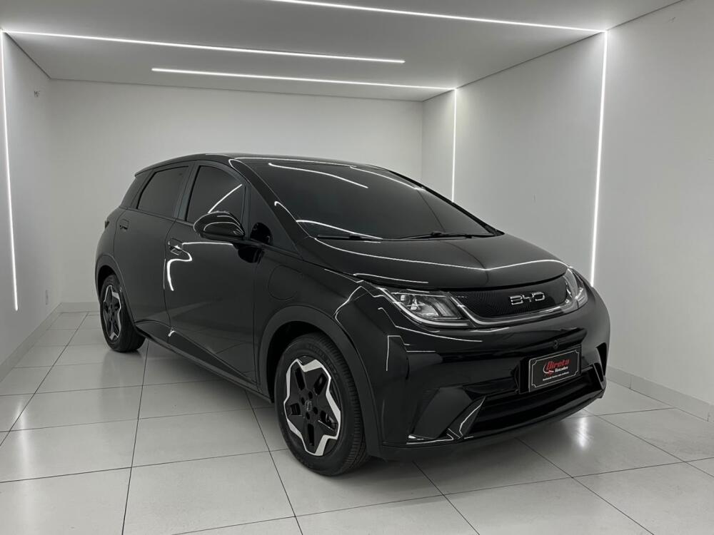 BYD Dolphin