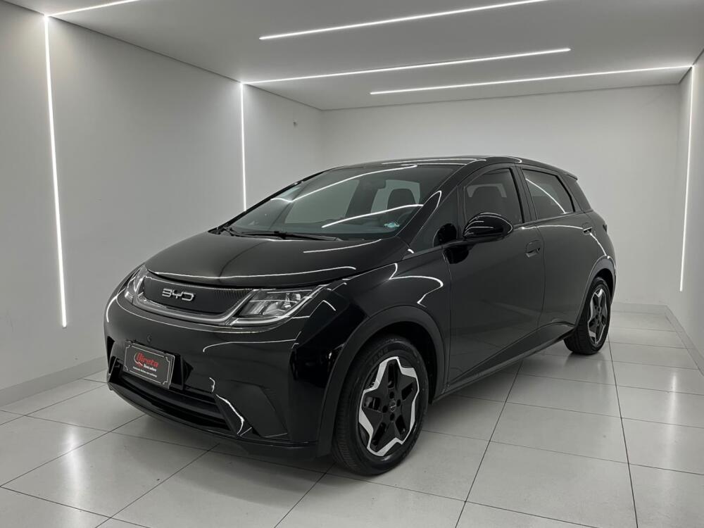 BYD Dolphin