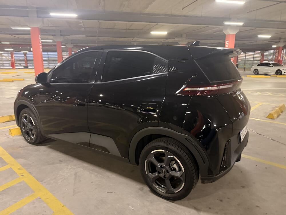 BYD Dolphin