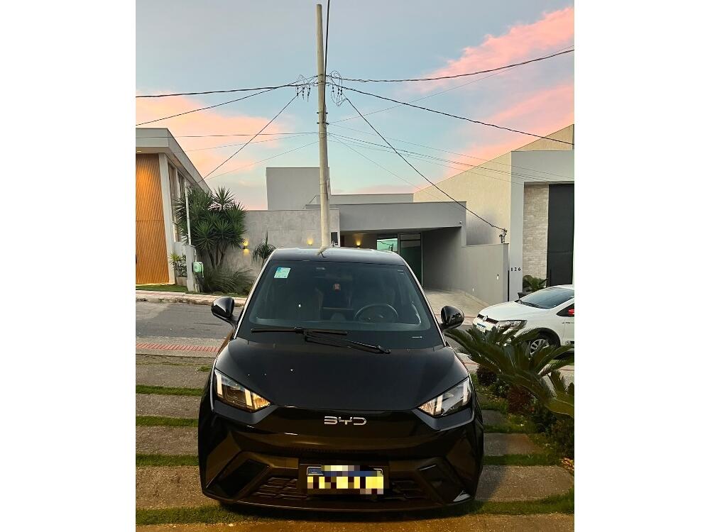 BYD Dolphin