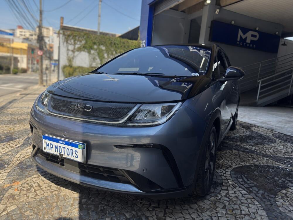 BYD Dolphin