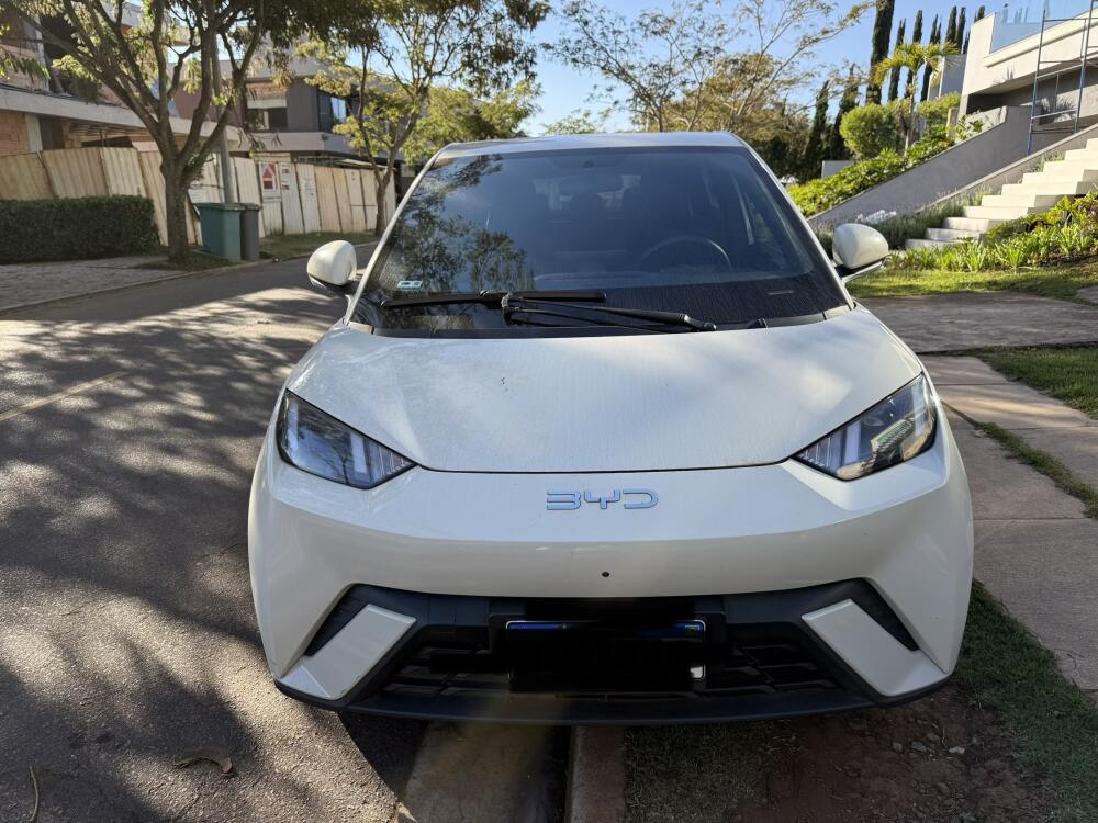 BYD Dolphin