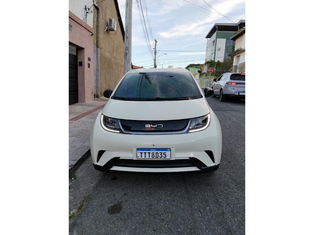 BYD Dolphin