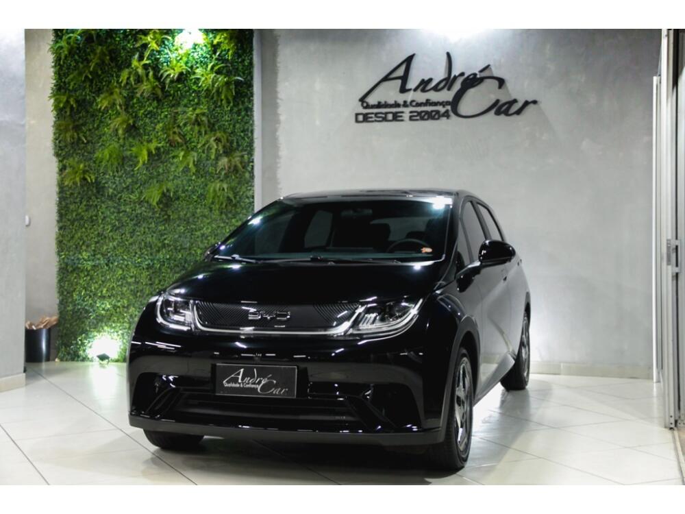 BYD Dolphin