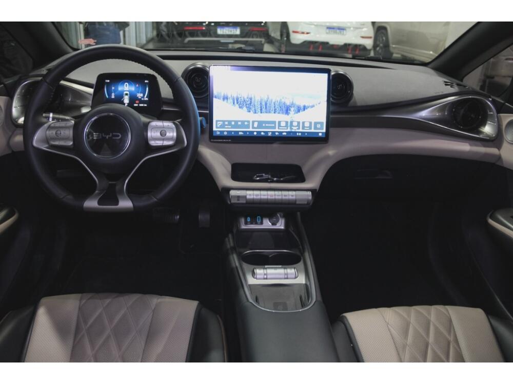 BYD Dolphin