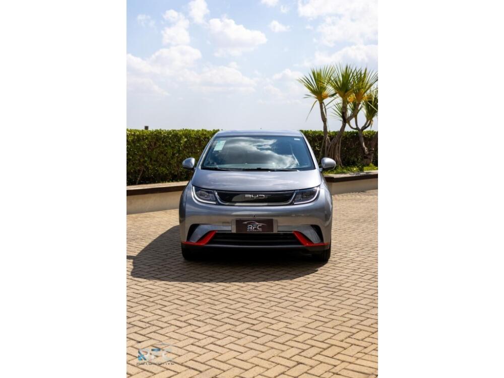 BYD Dolphin