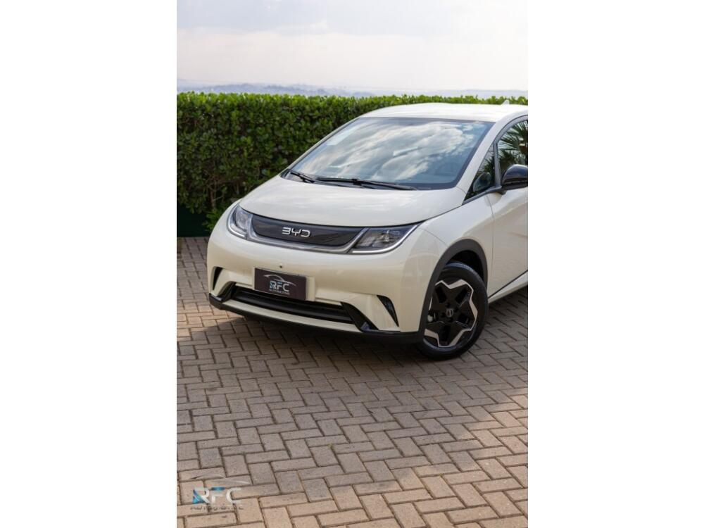 BYD Dolphin
