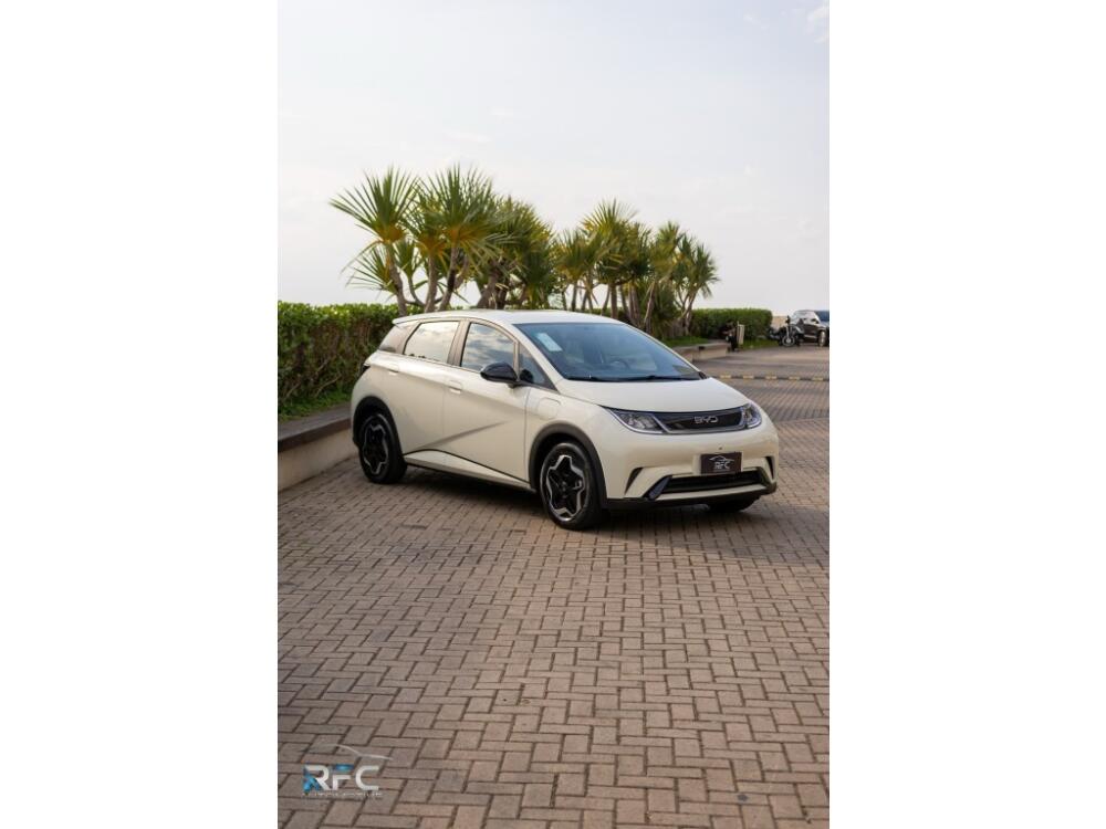 BYD Dolphin