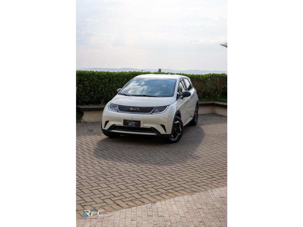 BYD Dolphin