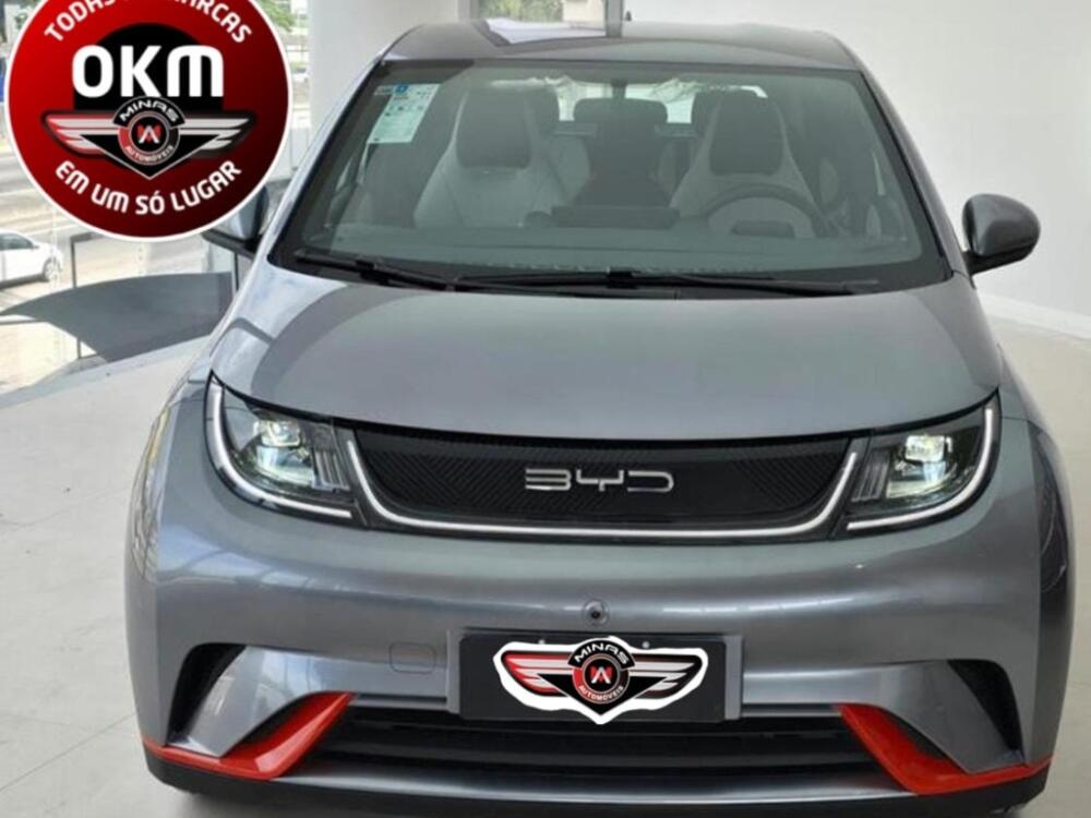 BYD Dolphin