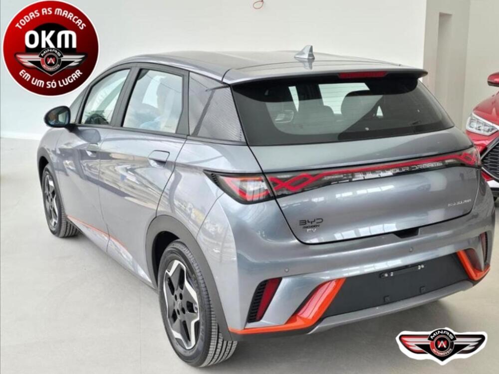 BYD Dolphin