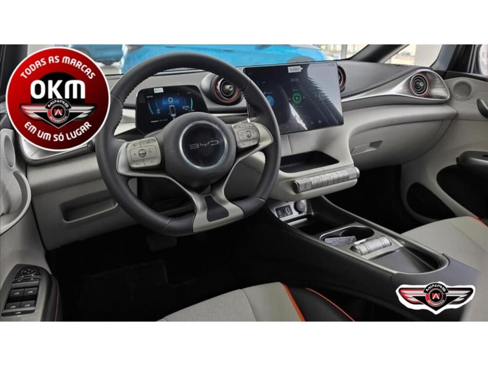 BYD Dolphin