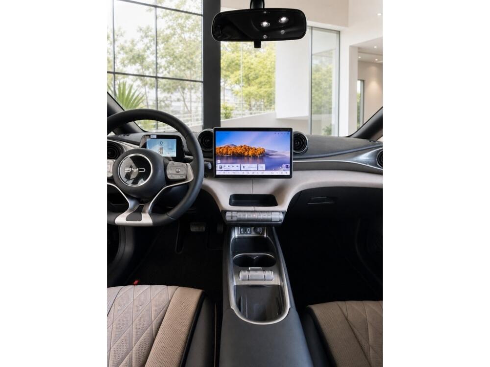 BYD Dolphin