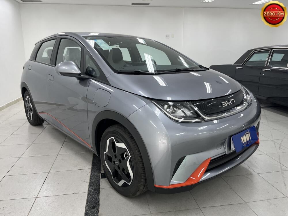 BYD Dolphin