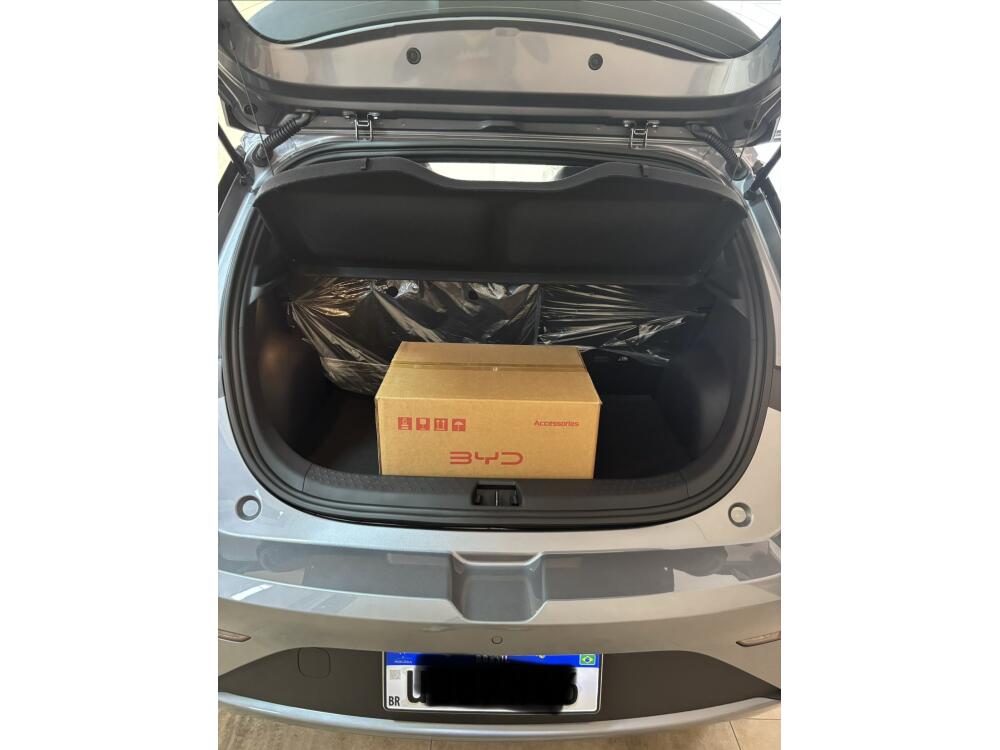 BYD Dolphin