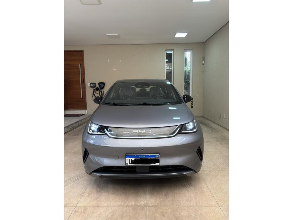 BYD Dolphin
