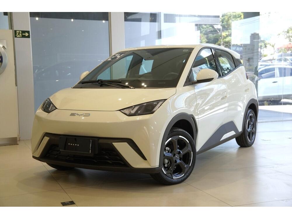 BYD Dolphin Mini