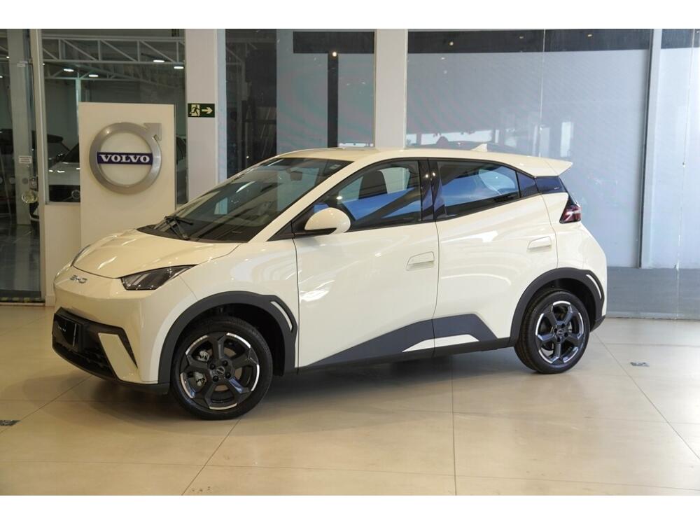 BYD Dolphin Mini