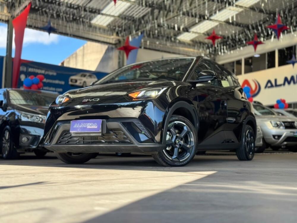 BYD Dolphin Mini