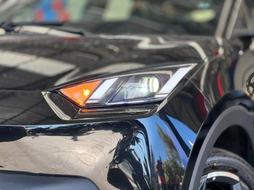 BYD Dolphin Mini