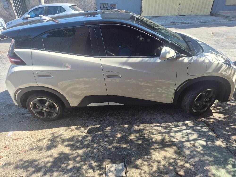 BYD Dolphin Mini