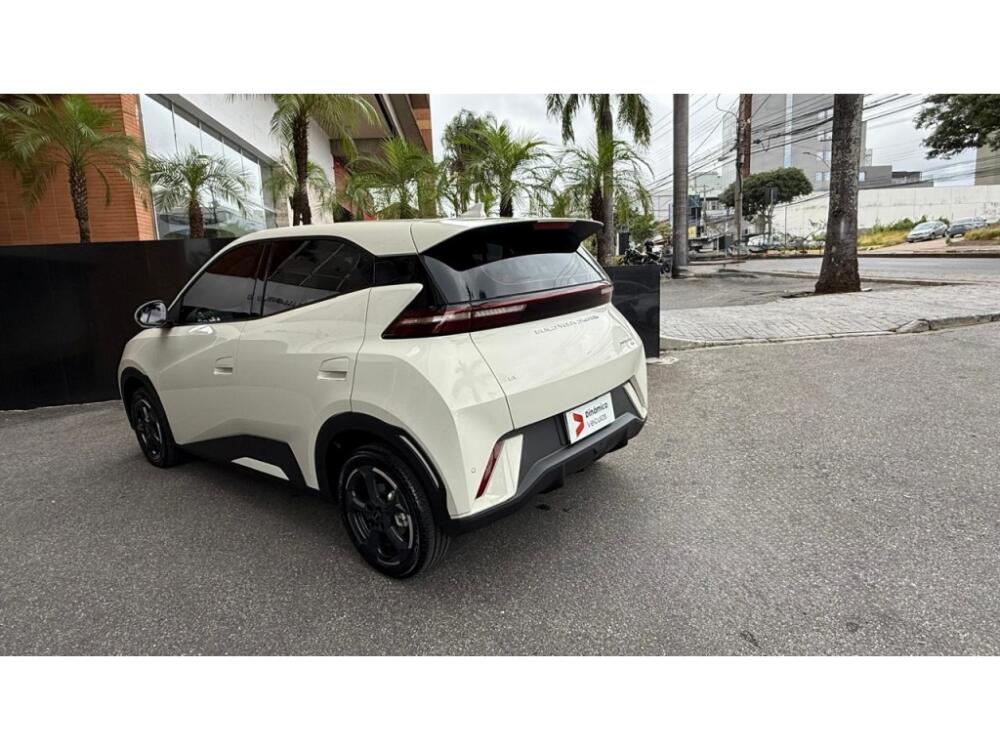 BYD Dolphin Mini