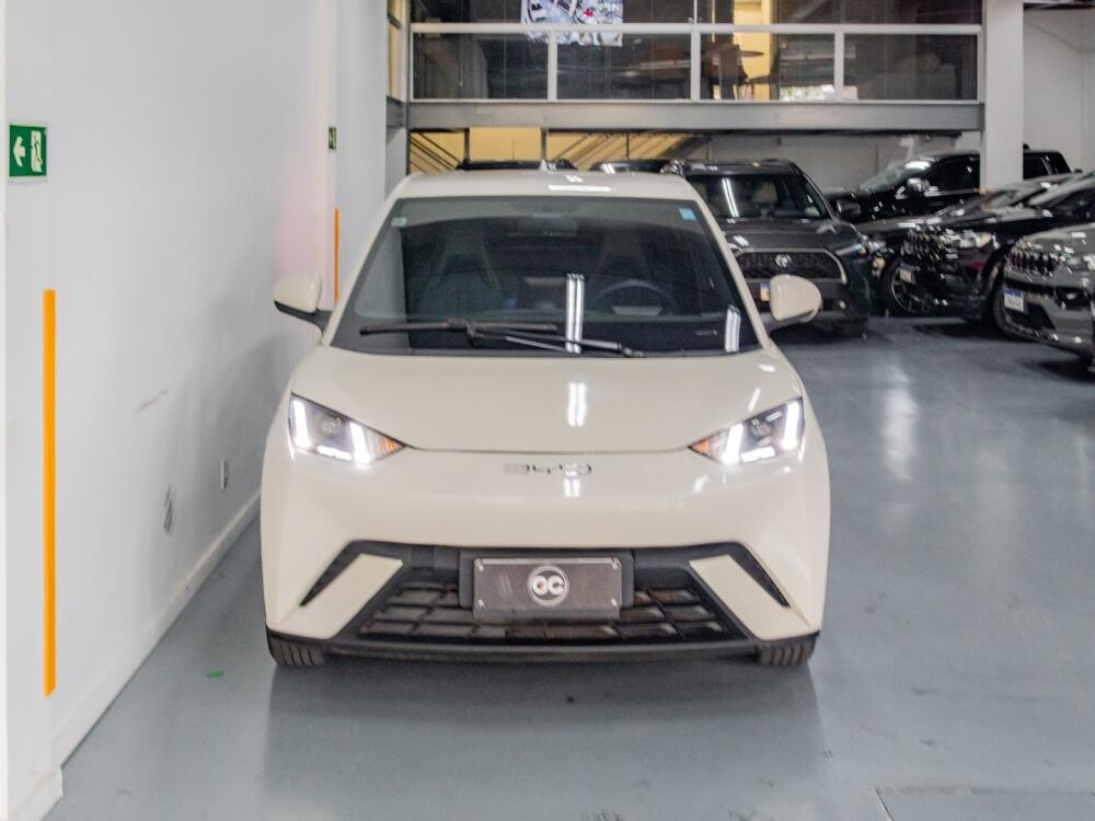 BYD Dolphin Mini