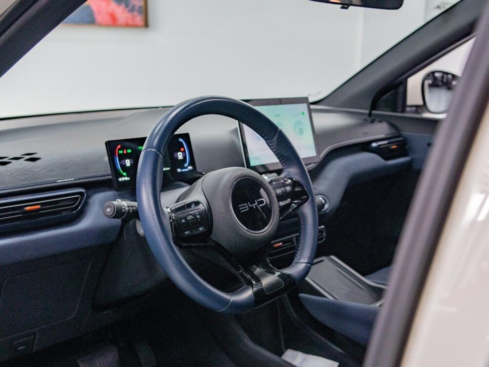 BYD Dolphin Mini
