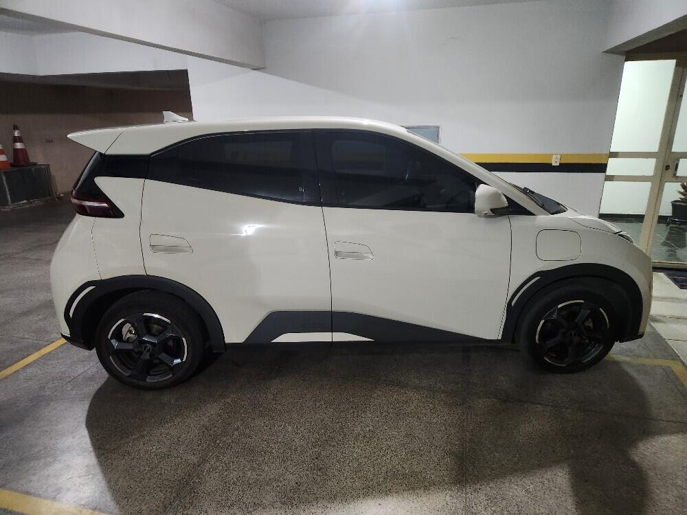 BYD Dolphin Mini