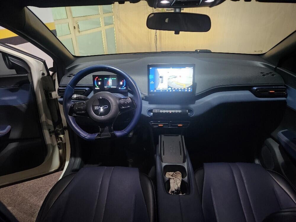 BYD Dolphin Mini