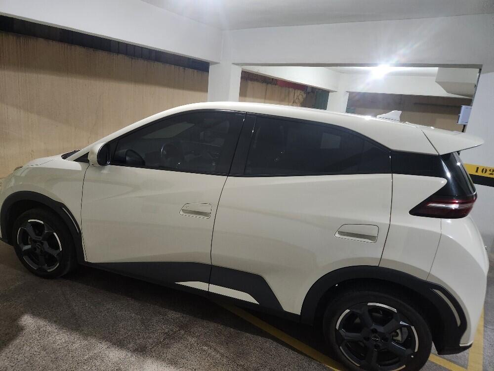 BYD Dolphin Mini