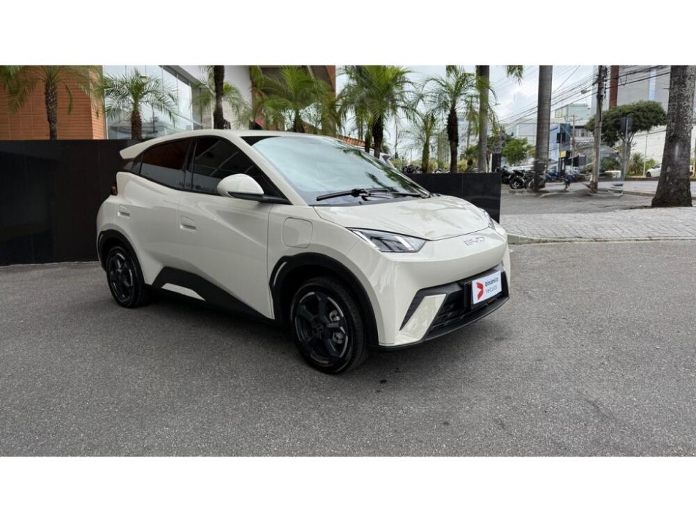 BYD Dolphin Mini