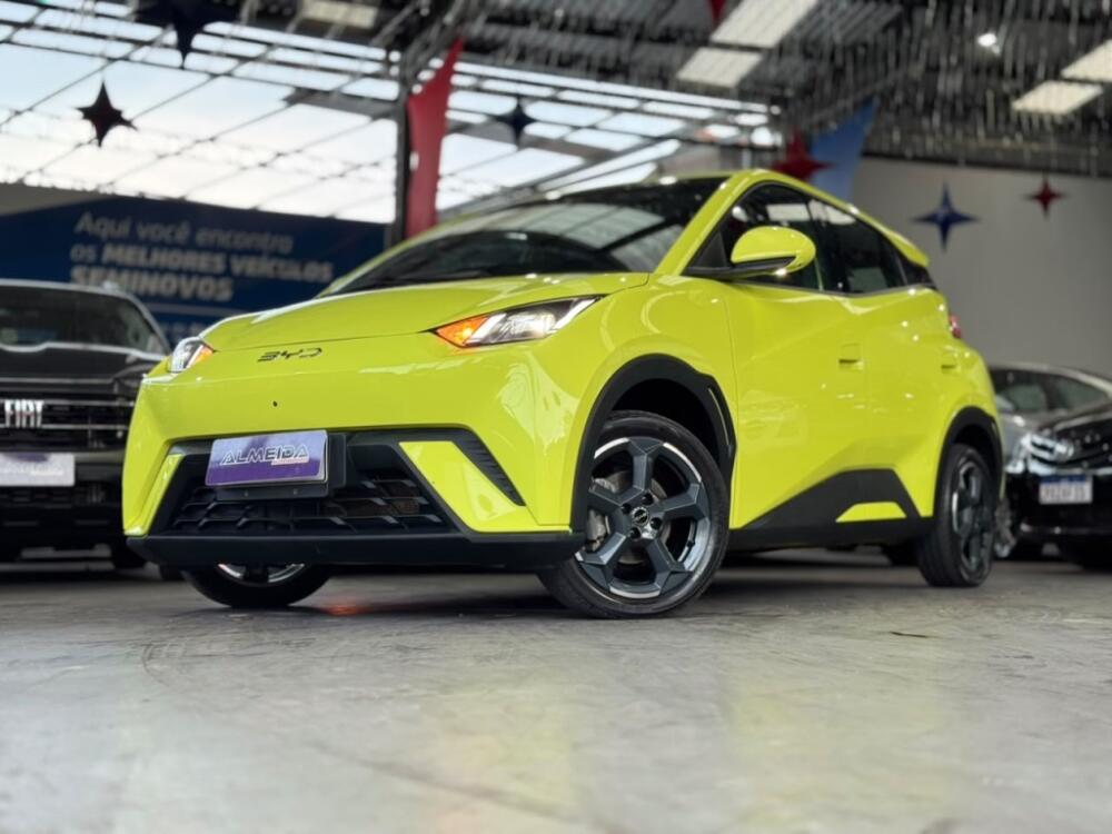 BYD Dolphin Mini