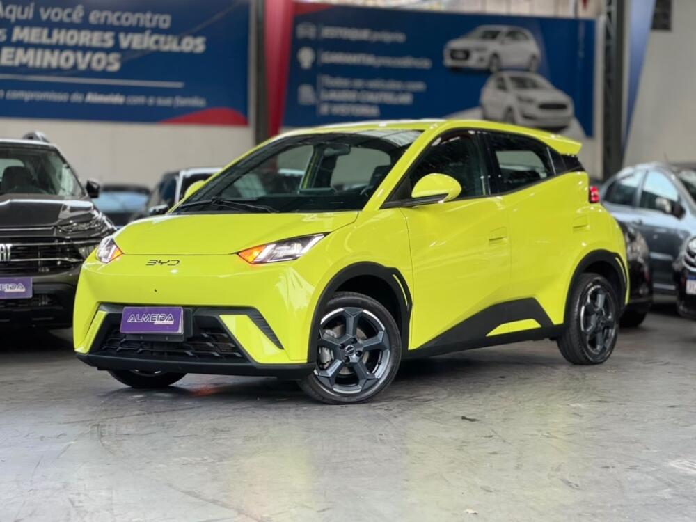 BYD Dolphin Mini