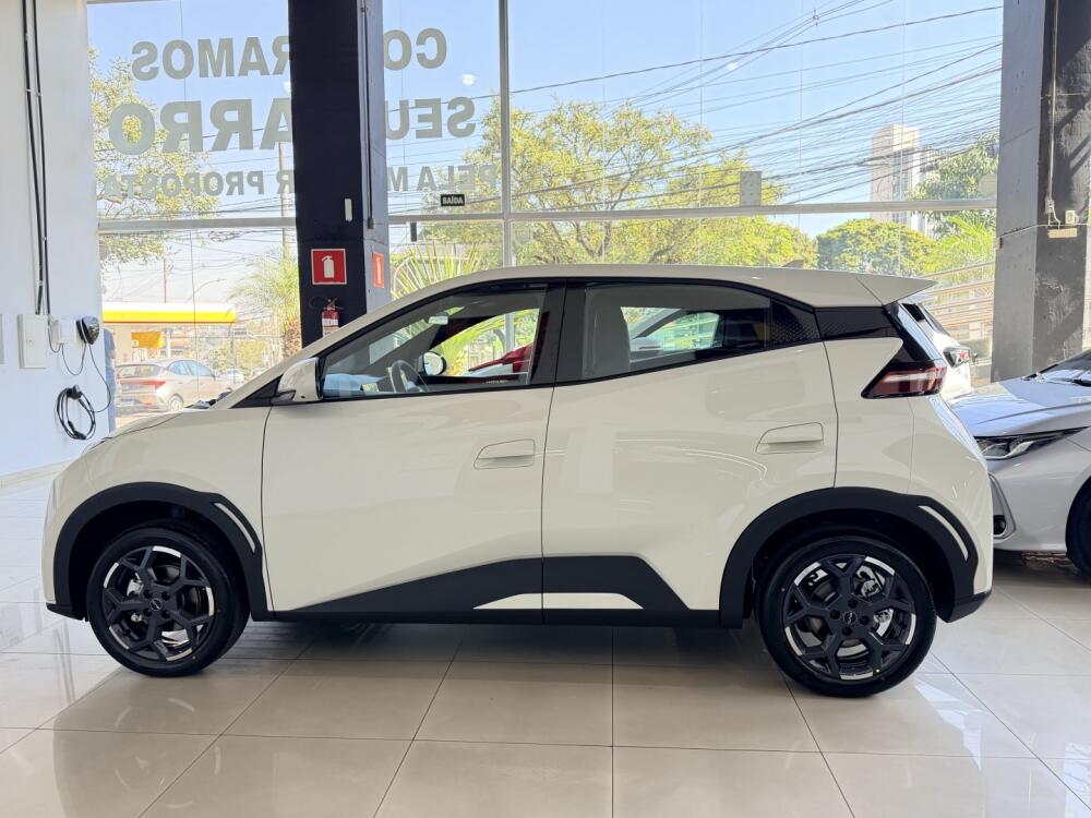 BYD Dolphin Mini