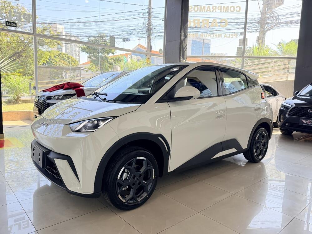 BYD Dolphin Mini