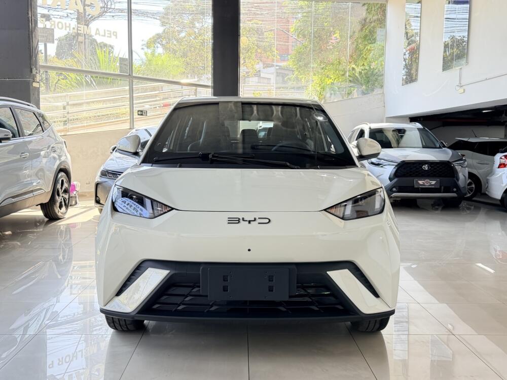 BYD Dolphin Mini