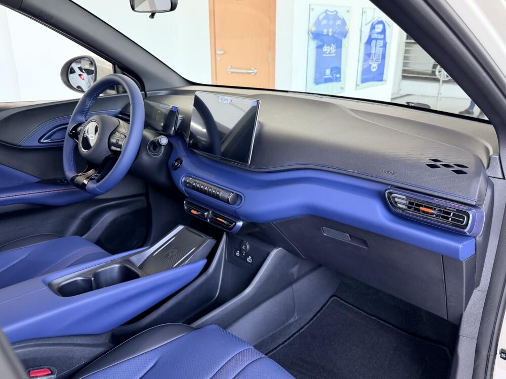 BYD Dolphin Mini