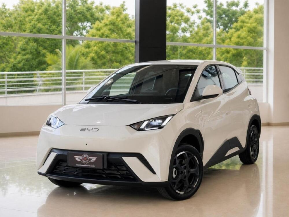 BYD Dolphin Mini