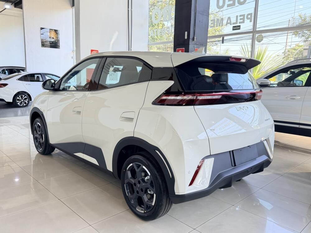 BYD Dolphin Mini