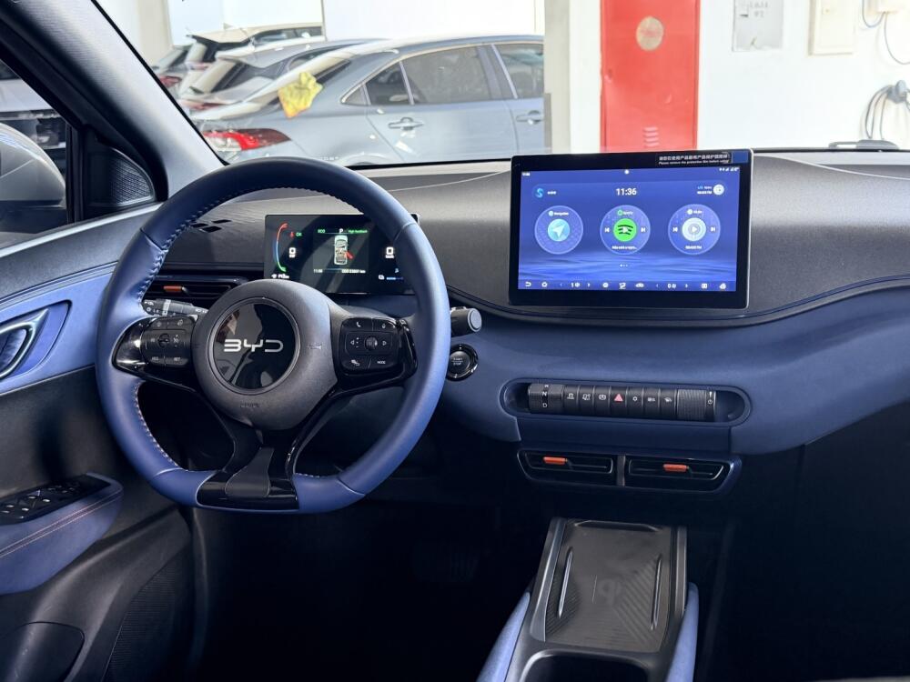 BYD Dolphin Mini