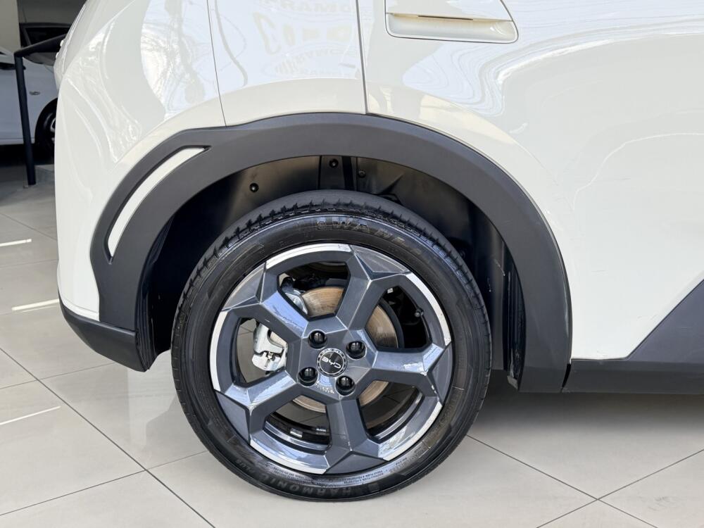BYD Dolphin Mini