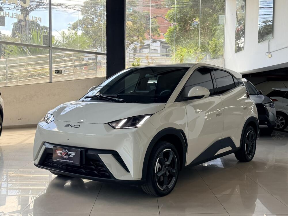 BYD Dolphin Mini