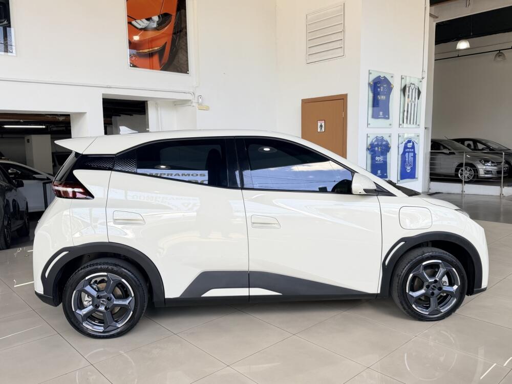 BYD Dolphin Mini