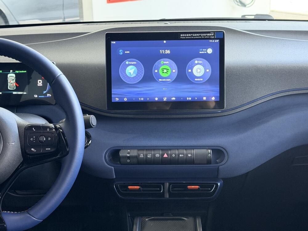 BYD Dolphin Mini