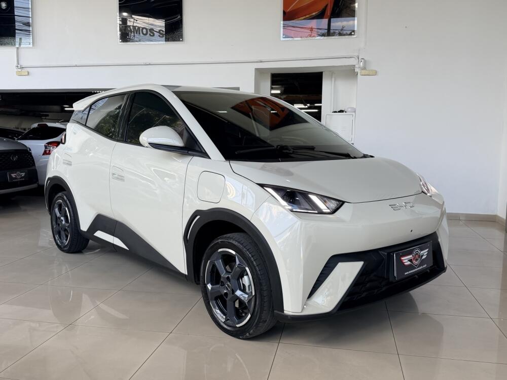 BYD Dolphin Mini