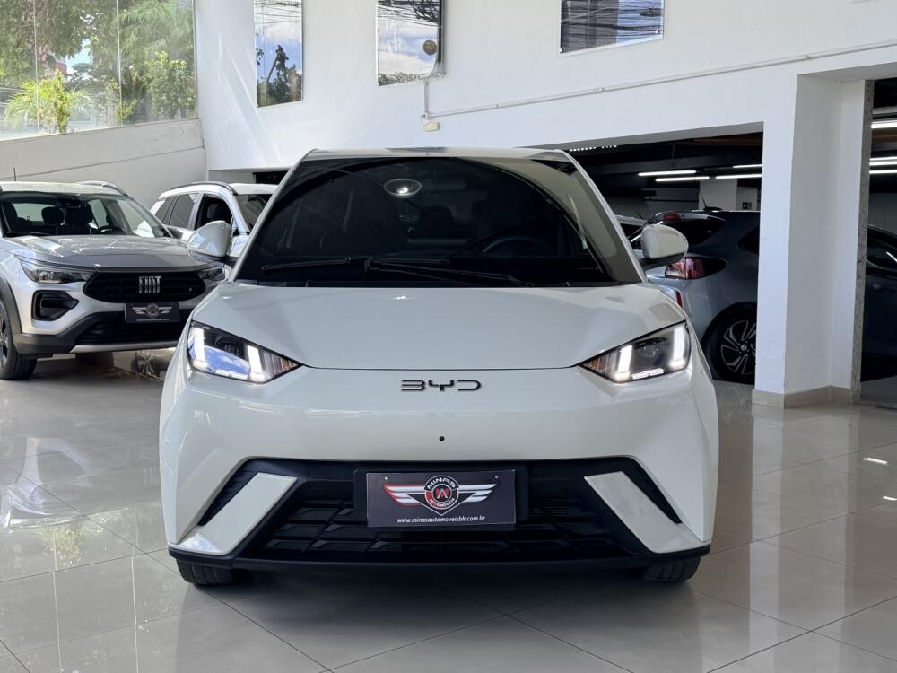 BYD Dolphin Mini