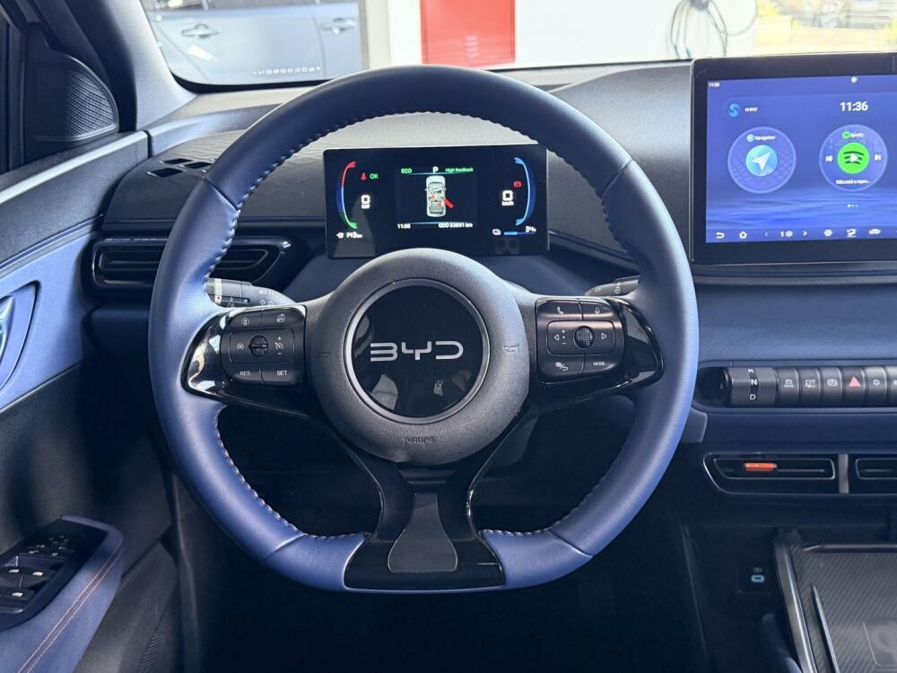 BYD Dolphin Mini