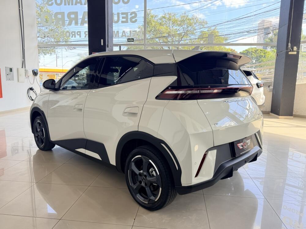 BYD Dolphin Mini
