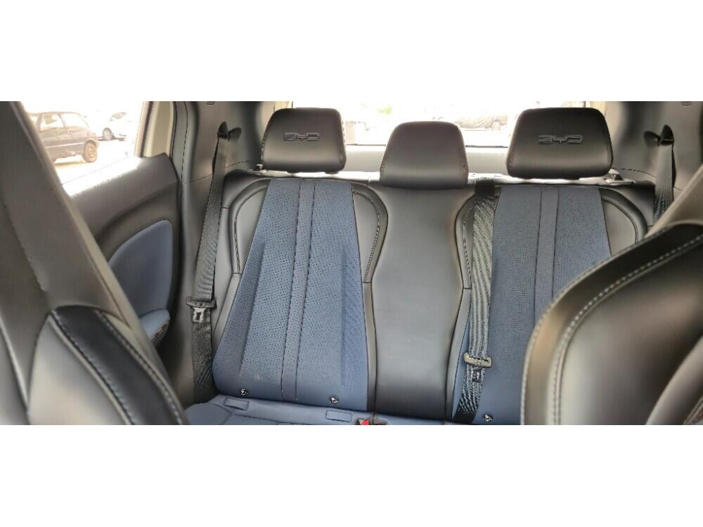 BYD Dolphin Mini